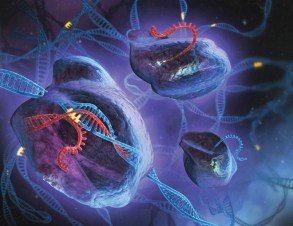 Image: Stephen Dixon and Feng Zhang